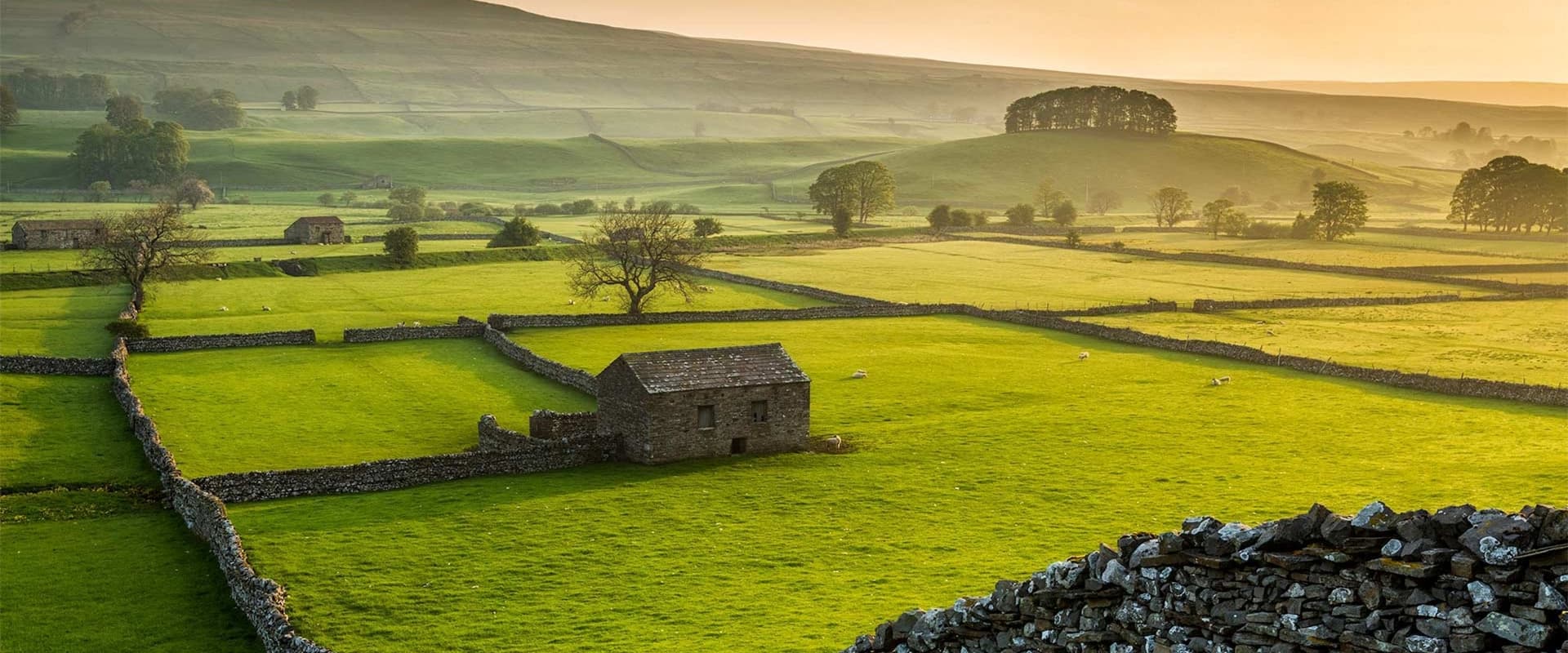 Ian Angus’s The War Against the Commons: A Vital New History of the Bloody Rise of Capitalism